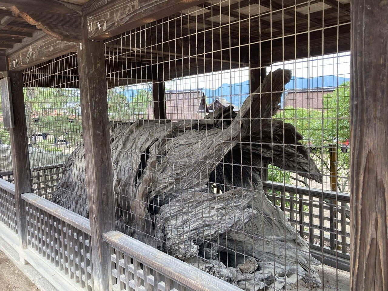 偉人てんこもり【広島県・厳島神社】｜里むつき