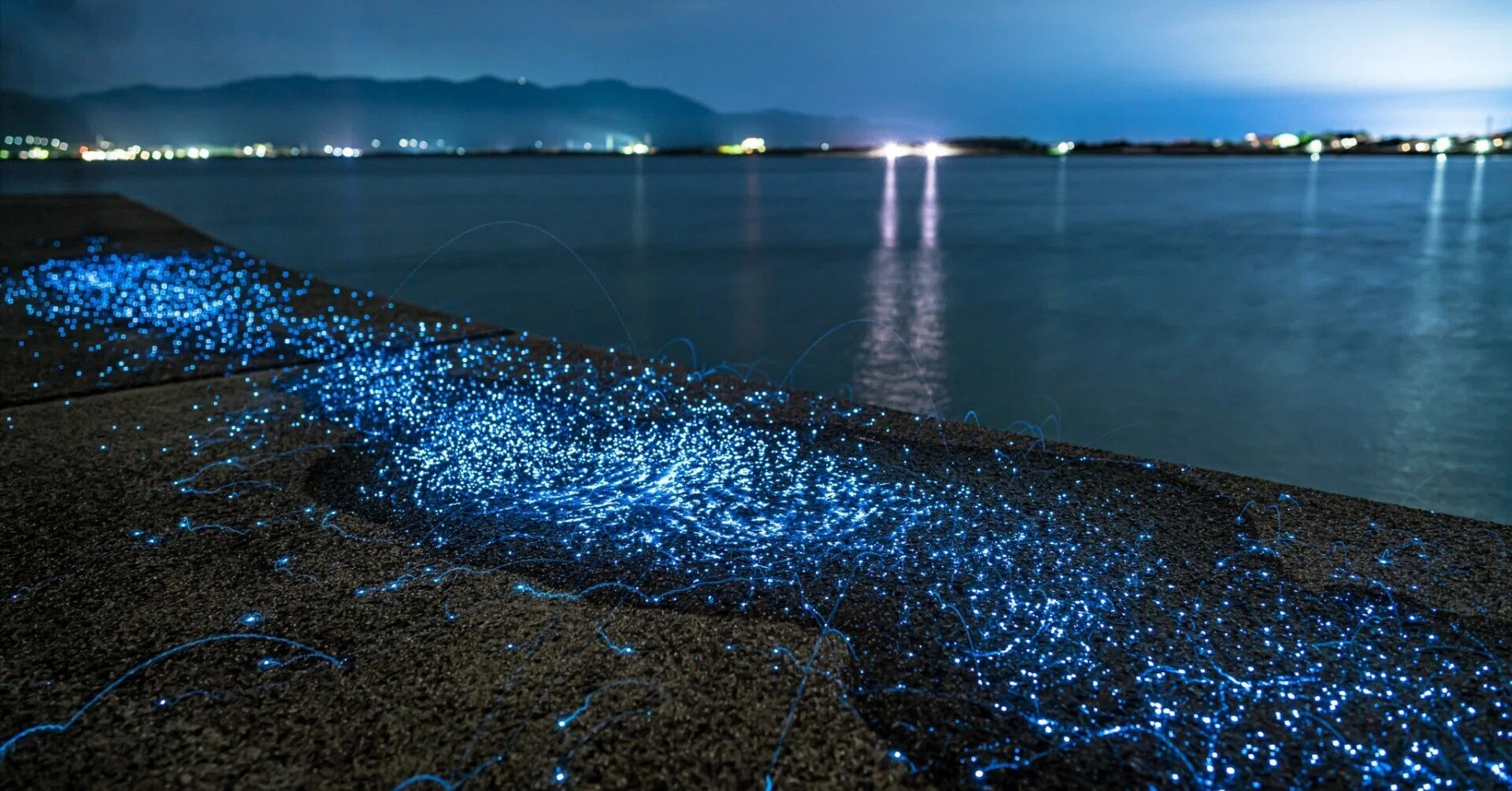 新月の夜の海ほたる鑑賞会🌑｜Chiaki Kamuki