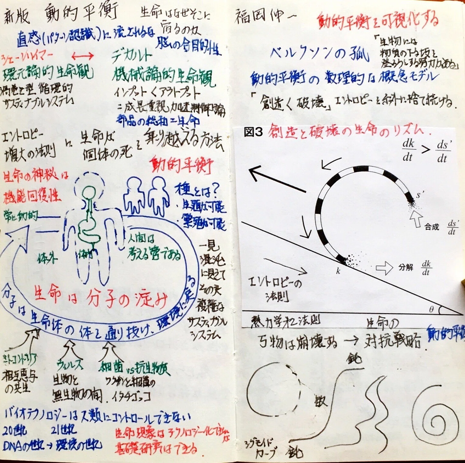 知恵の本 1冊1P「新版動的平衡」福岡伸一｜太田泉