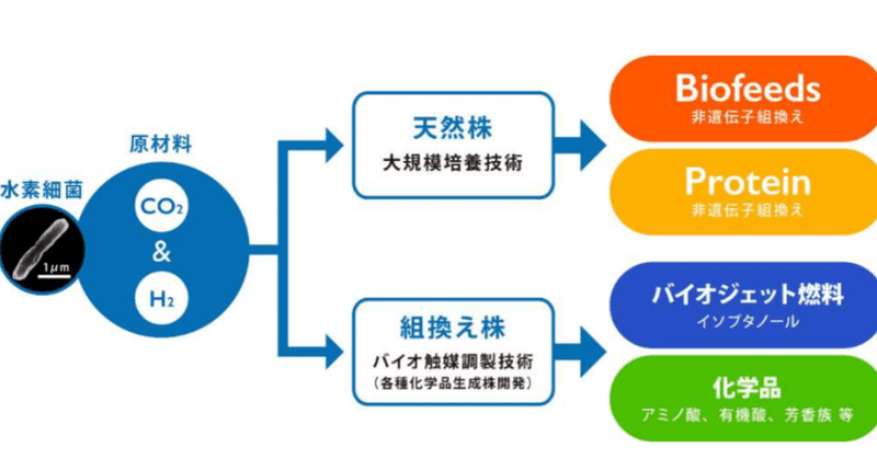 水素細菌