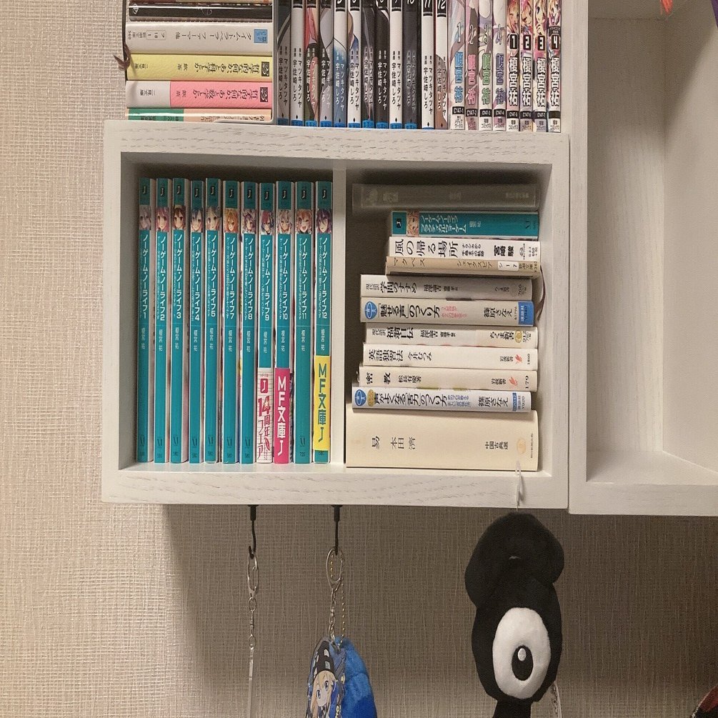 無印の壁掛け本棚が良いかんじ｜海苔