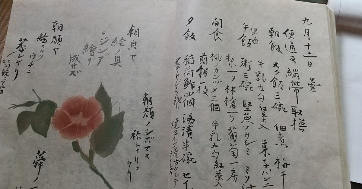 大人気 書くしかなかった ~正岡子規「仰臥漫録」に想う｜みきこ 文学・小説