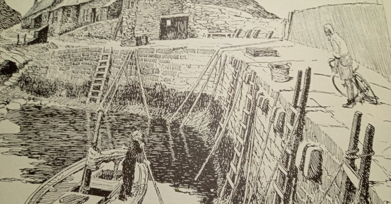 パターソンの世界｜白鳥和也／自転車文学研究室