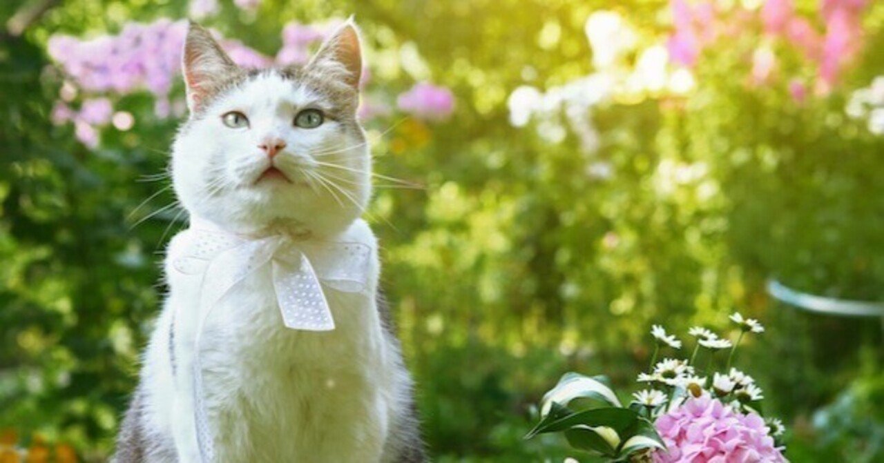 国民年金の保険料、払えなかったらどうしたらいい？！｜ライフネット生命保険株式会社