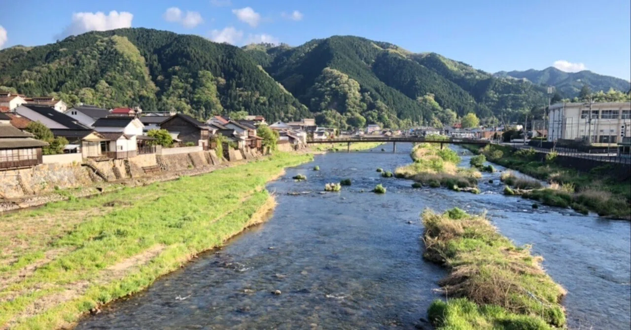 洗剤を使いながら川や海をきれいに、万能粉石鹸ピリカレの驚きの効果 