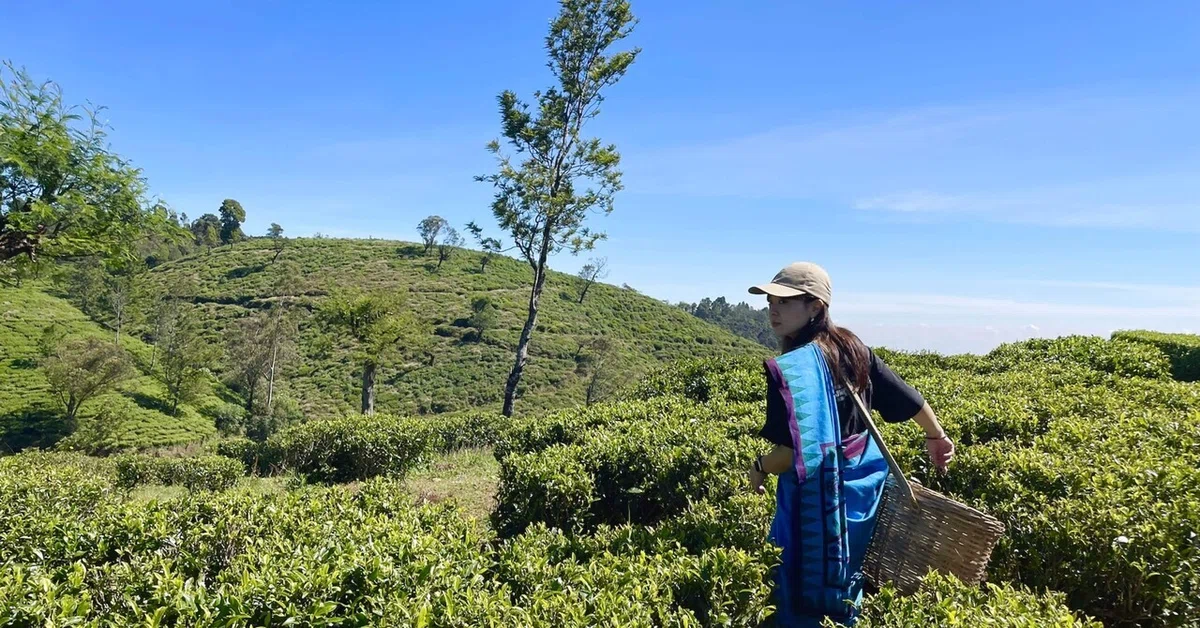 紅茶の聖地！スリランカの紅茶工場ホテル「Heritance Tea Factory」で 