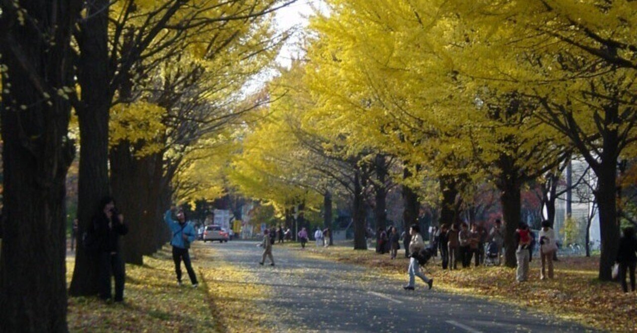 北海道大学法学部2年次編入試験（小論文）の解説をします［第1回