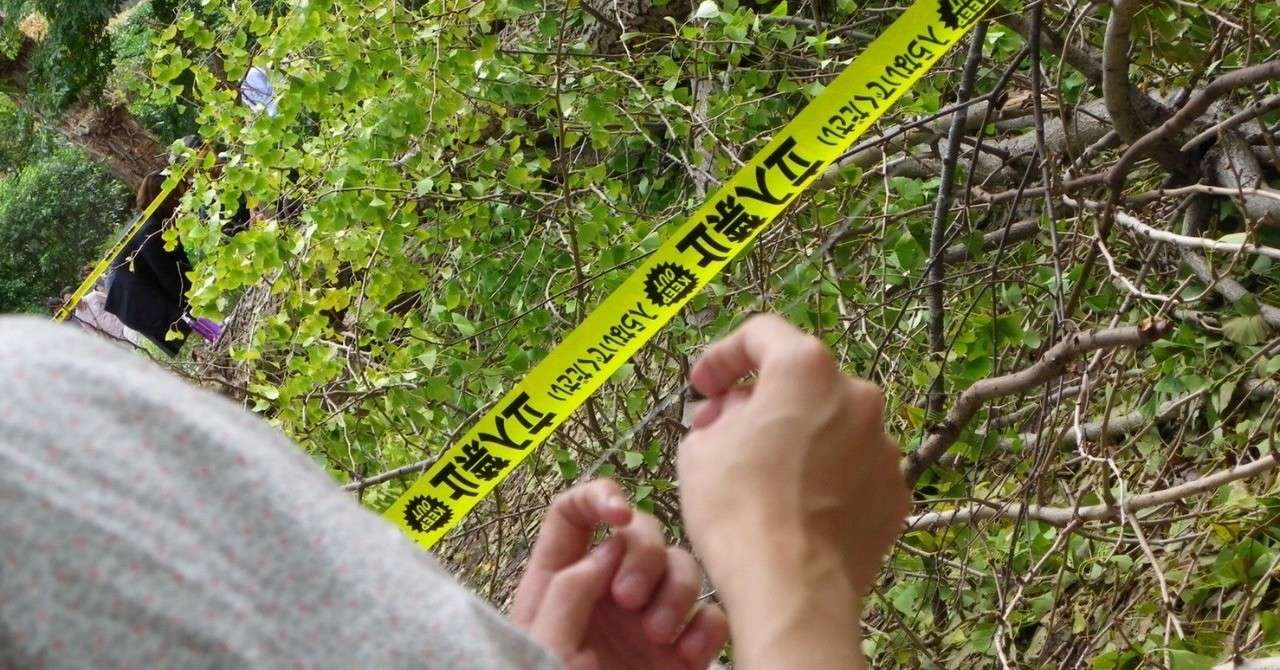 ダウジングをやったら結界が見つかった話 るうでんす Note