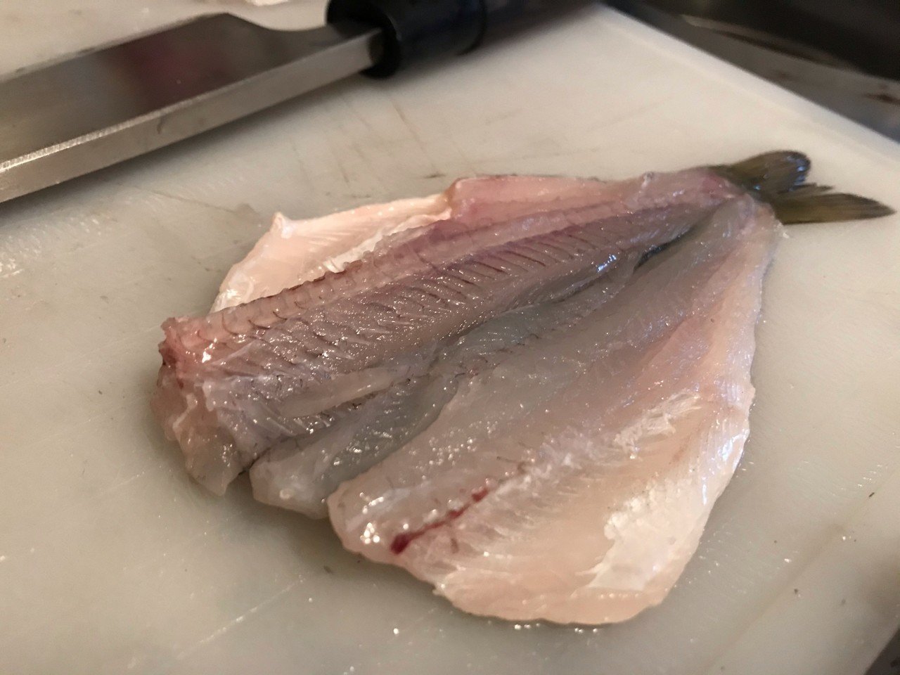 美味しい干物の作り方 もったいない料理人 みっきー Note