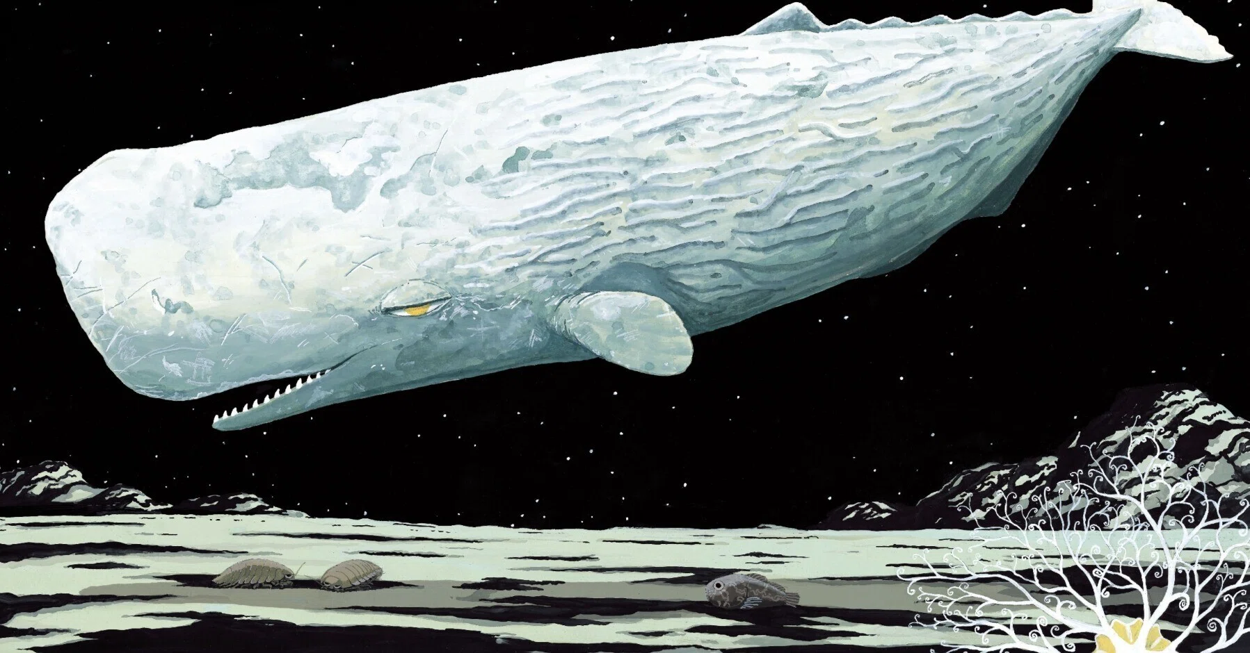 クジラがしんだら、どうなるの？｜童心社