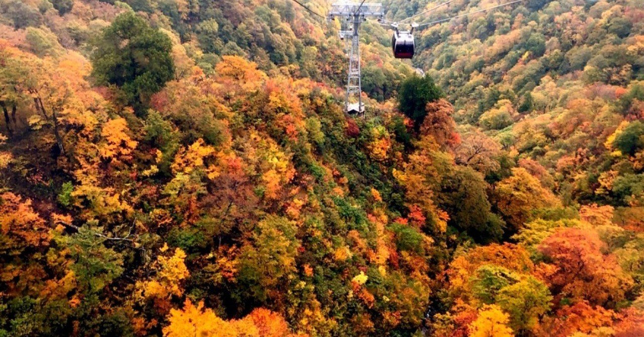 10 10 23 谷川岳で紅葉を見る 月山もも Note