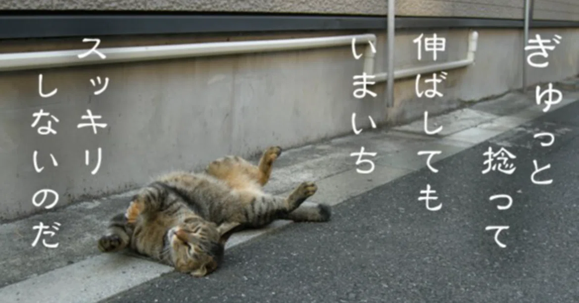 I've done it again. Another injury.｜ぞぞこ