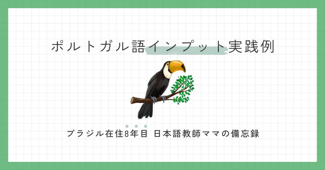 先生なし、教科書なし。私が実践したポルトガル語インプット方法