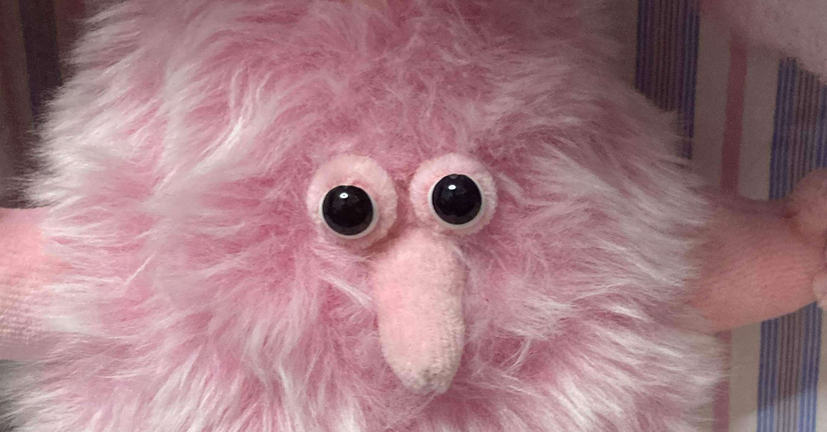 KASUMI OOMINEさんという激かわのぬいぐるみを作る人｜ラリーミリメル