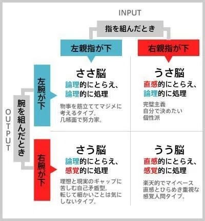 体操選手は右脳派？左脳派？｜今林 開人