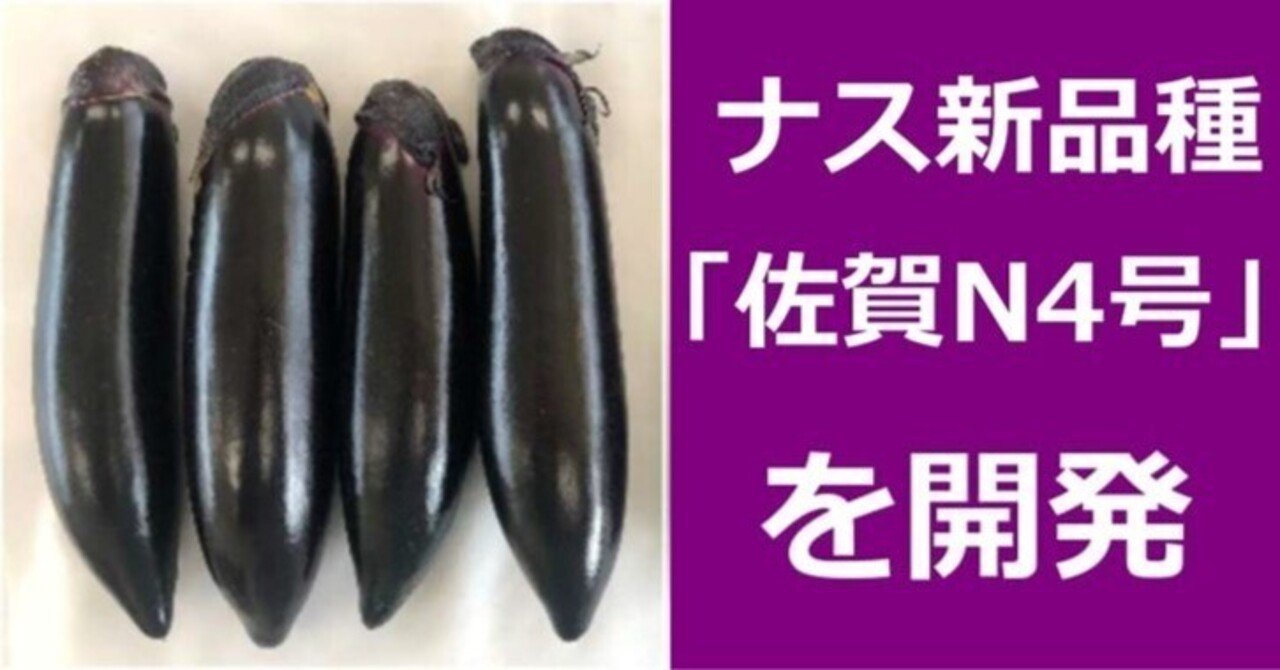 ナス新品種「佐賀N4号」｜公益社団法人佐賀県農業公社