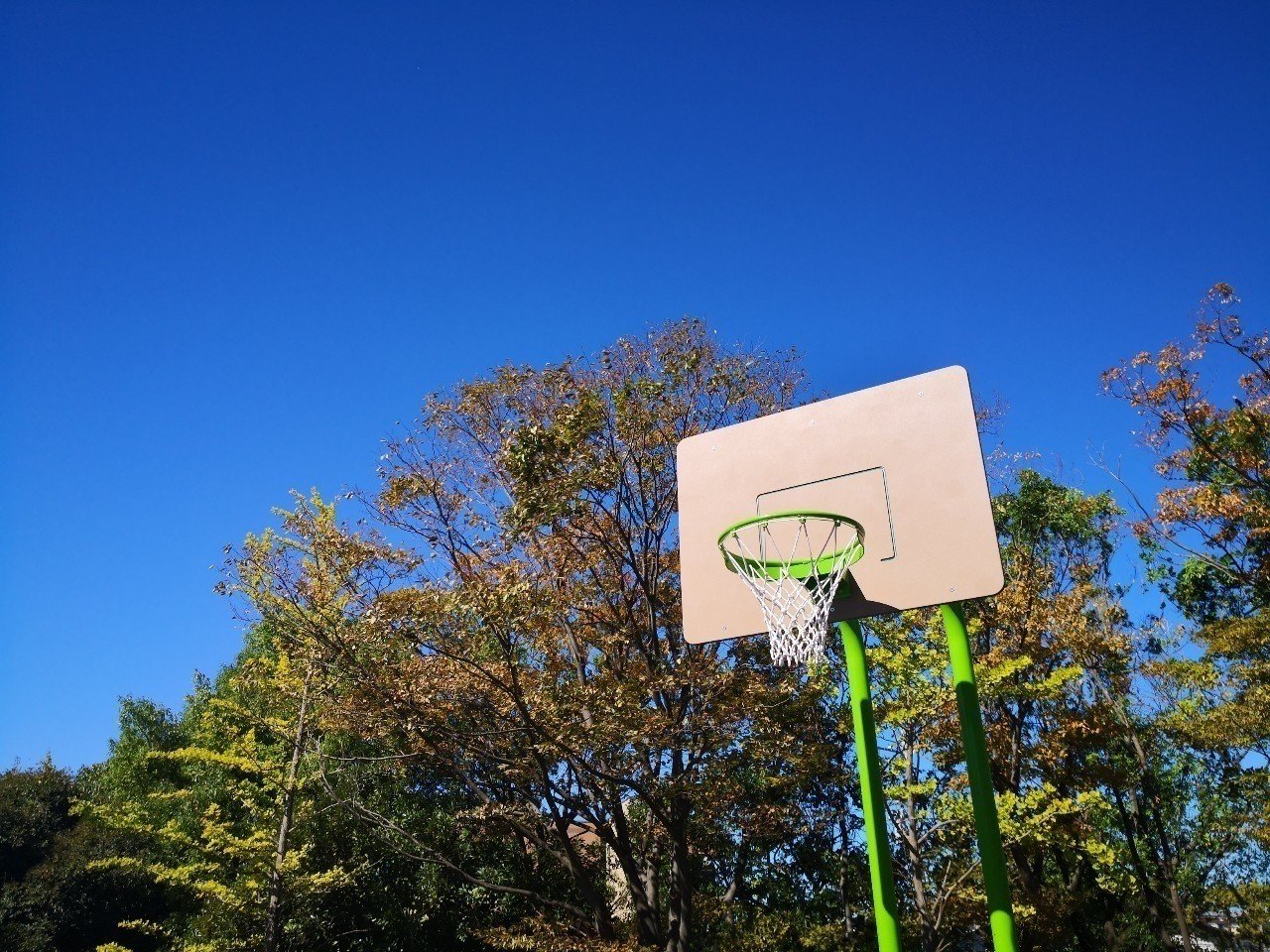 Bリーグ中地区 勝手におすすめ選手紹介 1 Mokoron こやまもとこ Note Bリーグ中地区 勝手におすすめ選手紹介 1 Mokoron こやまもとこ Note
