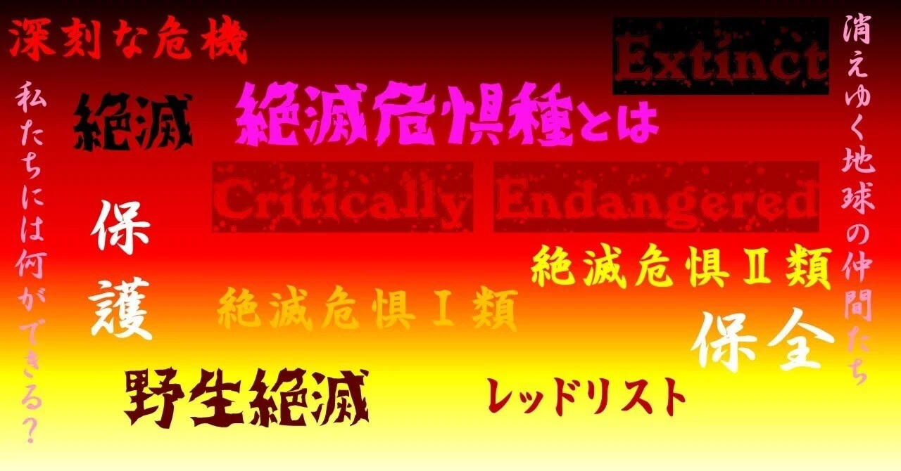 【値引き相談OK】2014ザンビア共和国　絶滅危惧種保護シリーズ　10点 そもそも『絶滅危惧種』って？｜桂浜水族館 公式