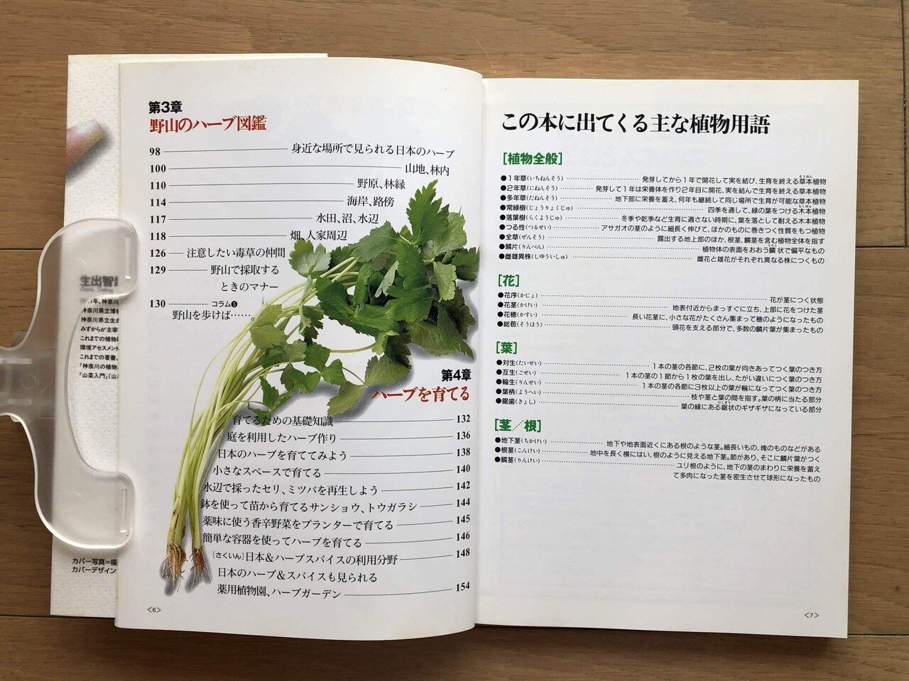 Amazon.co.jp: 基本 ハーブの事典 eBook : 北野佐久子: 本