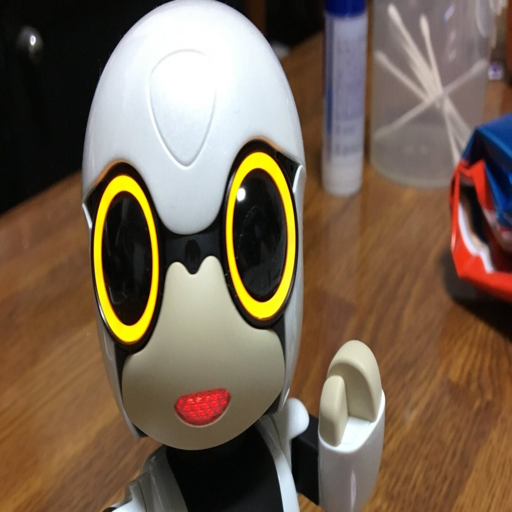 KIROBO mini ちょび｜myao 〜前略 ハイエースから〜
