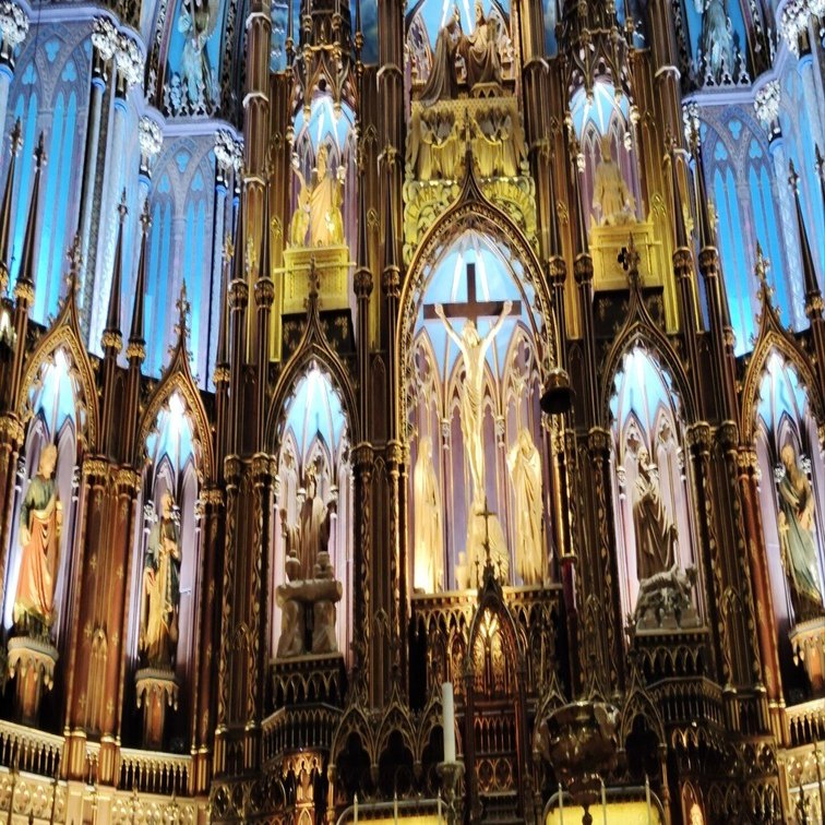 🇨🇦カナダ旅日記〜モントリオール編〜｜よこもこ