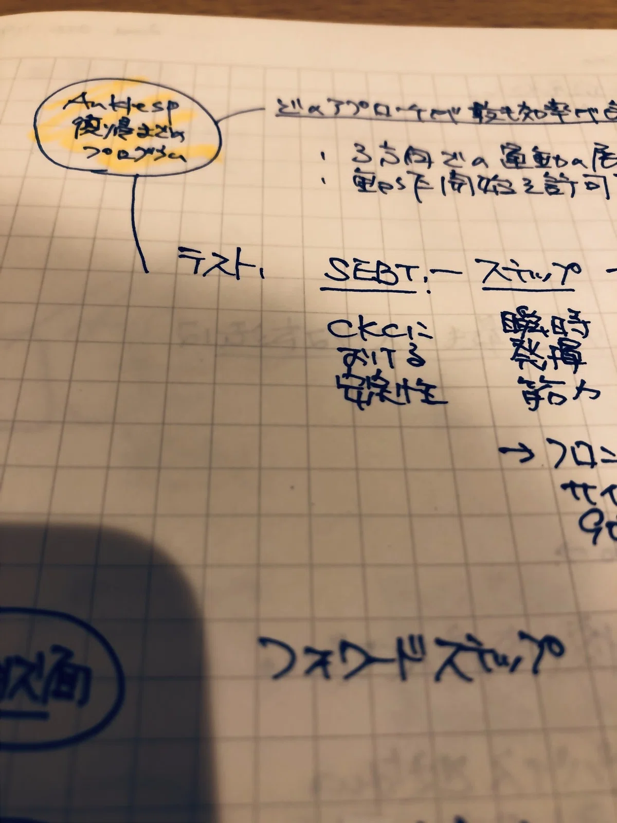 画像7