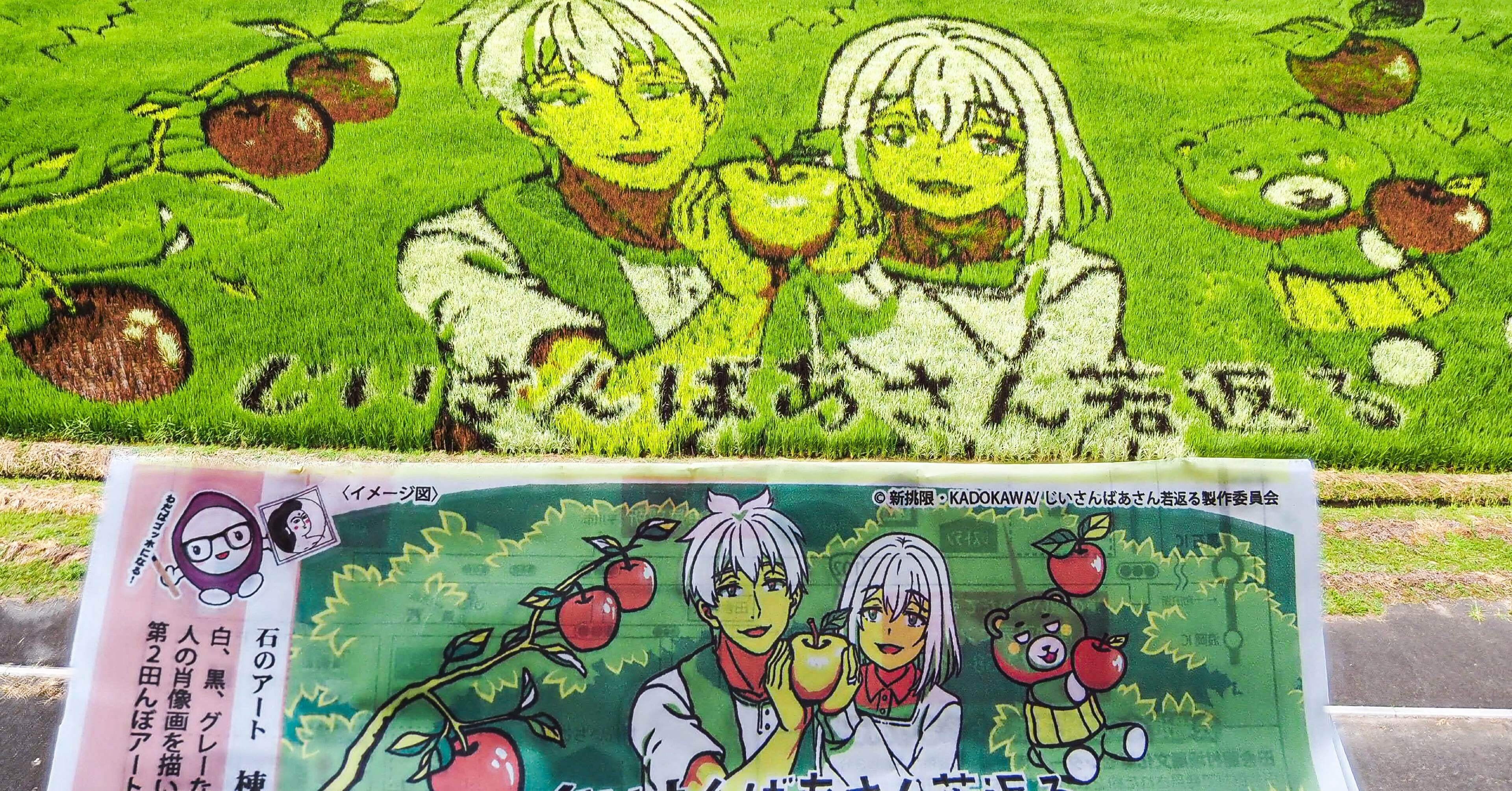 M.ZUIKO DIGITAL 12-100mm F4.0 ProとLEICA SUMMILUX 9mm f1.8で撮る