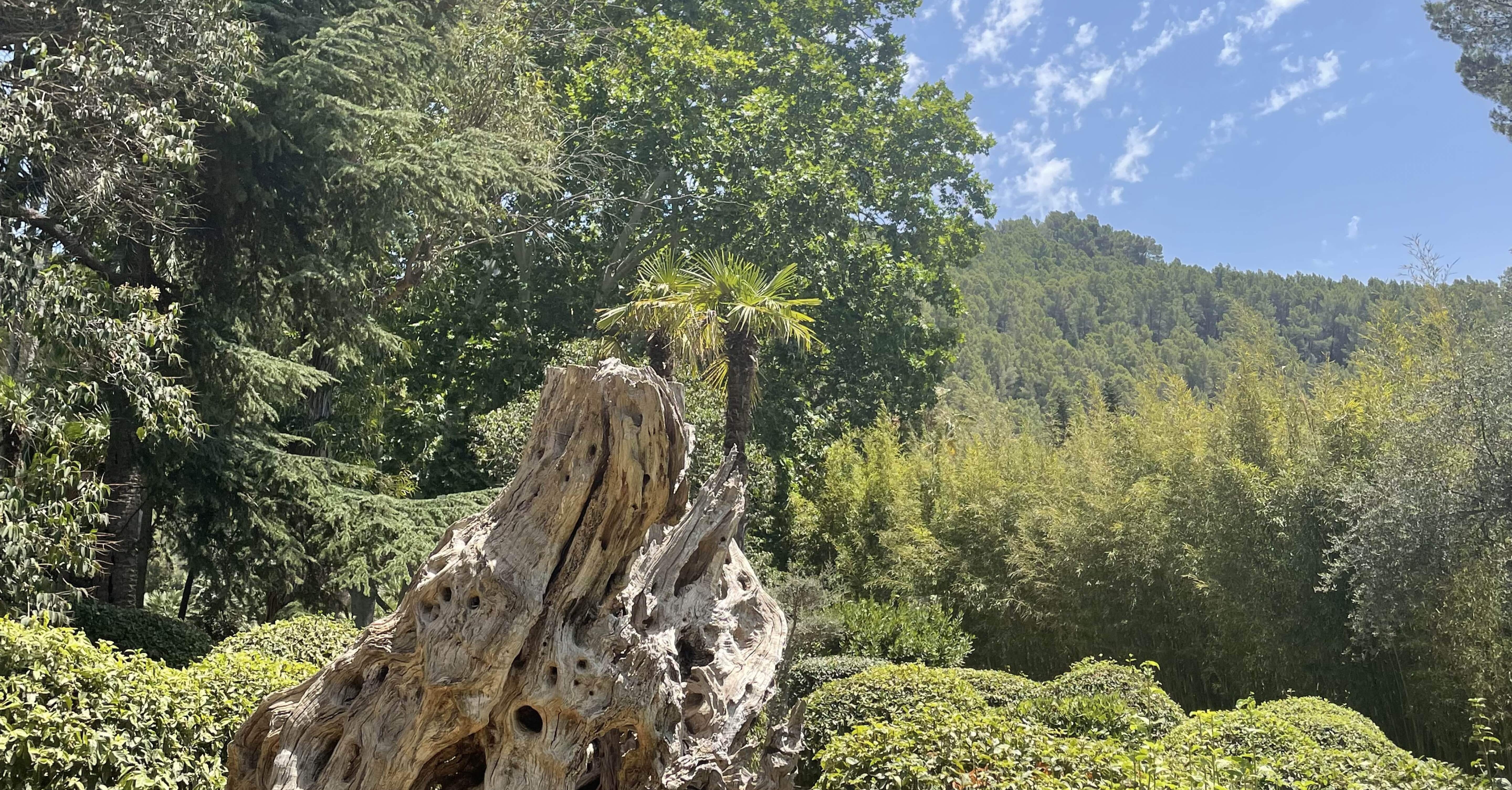 World Tour】マヨルカ島一人旅 day3 自然の癒しを求めて｜Masato Hagiwara