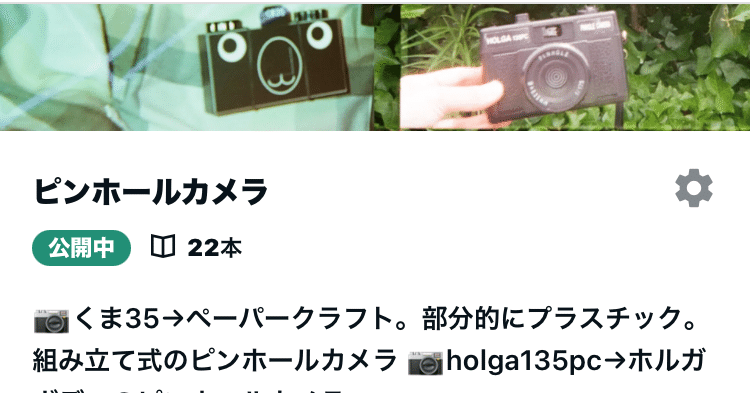 私のピンホールカメラ📷くま35・holga 135pc｜midori