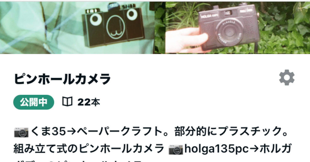 私のピンホールカメラ📷くま35・holga 135pc｜midori