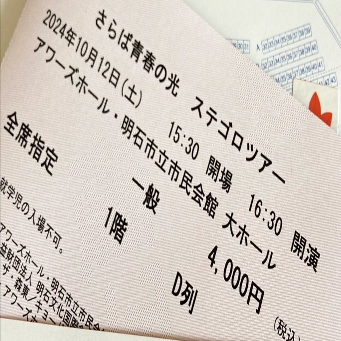 青春の光を思い出したよ「ステゴロツアー」｜アケミ