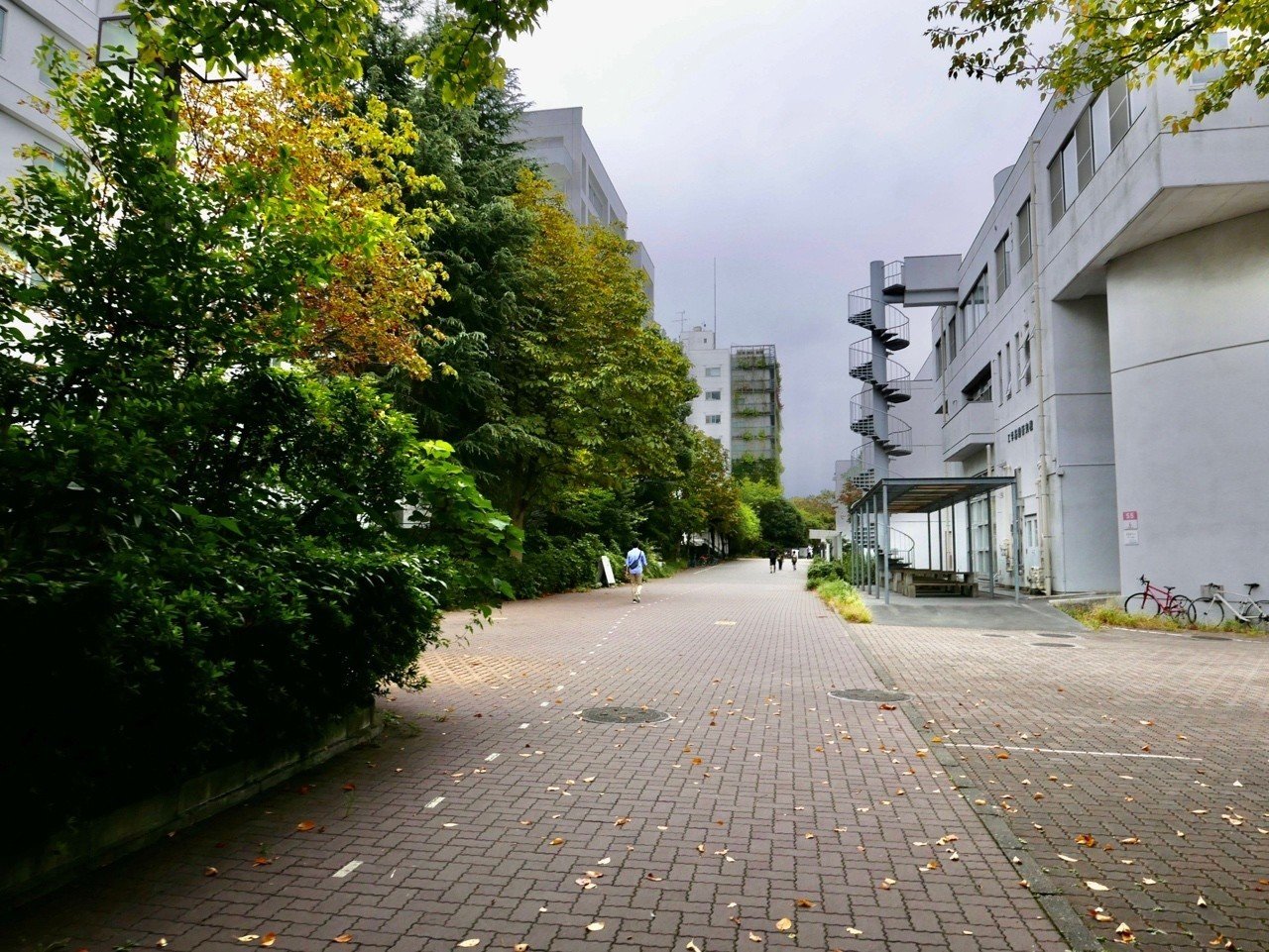 写真 横浜国立大学 フンメルノート Note