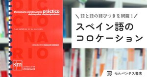 西西辞典　スペイン語　辞書 西西辞典 スペイン語 辞書 西西辞典 Diccionario Salamanca