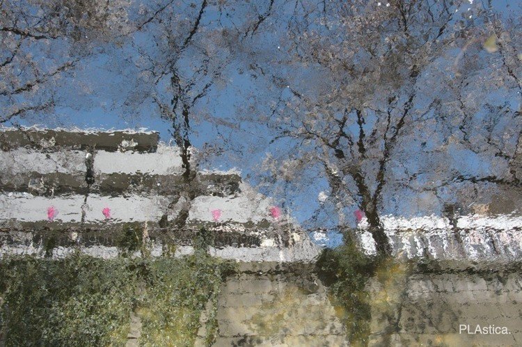 目黒川の川面にうつった桜並木。さざ波が不思議なタッチを生み出していました。