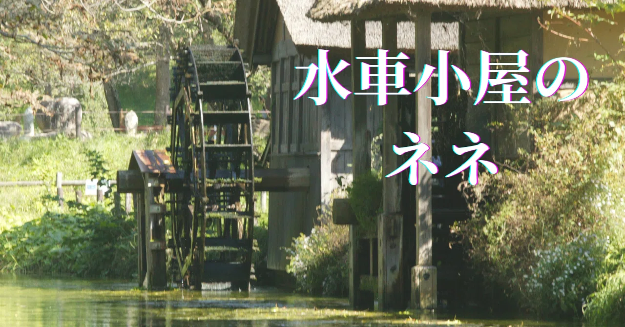津村記久子（著）『水車小屋のネネ』｜厳しい環境の中で小さな幸せを