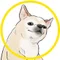 shiro