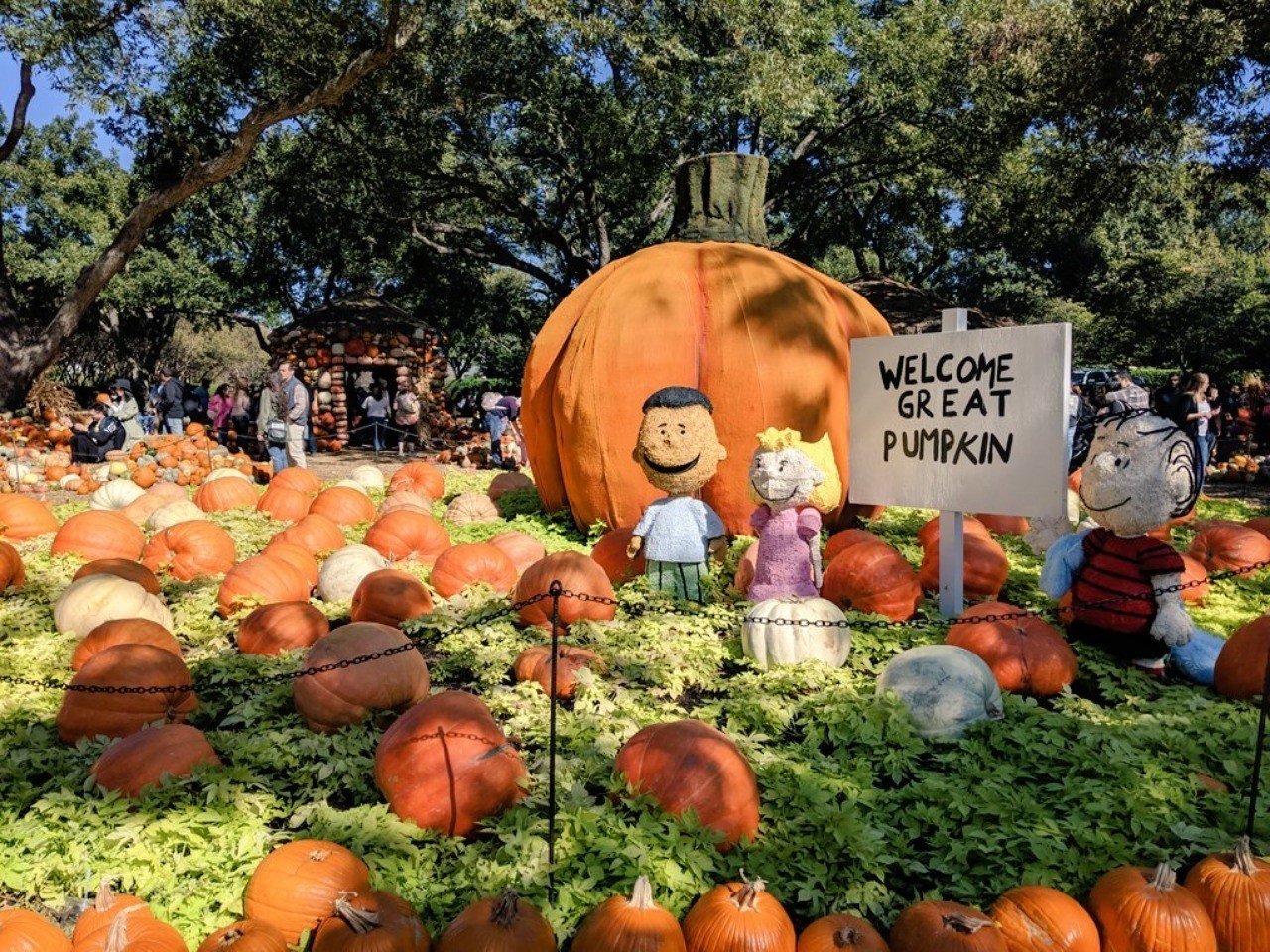 9万個のかぼちゃとかぼちゃ大王 Maru Note