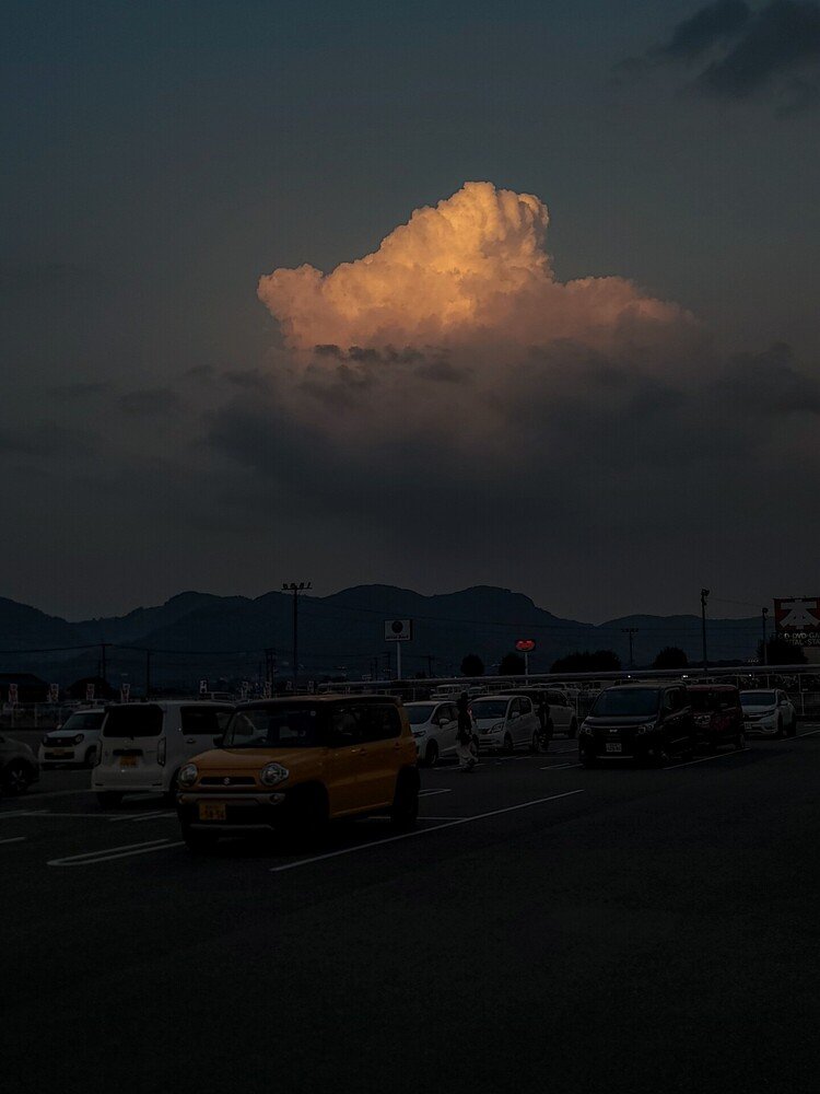 台風通過から一週間。涼しい日が続いたせいかちょっと暑くなると夏が戻ってきたような感じがします。