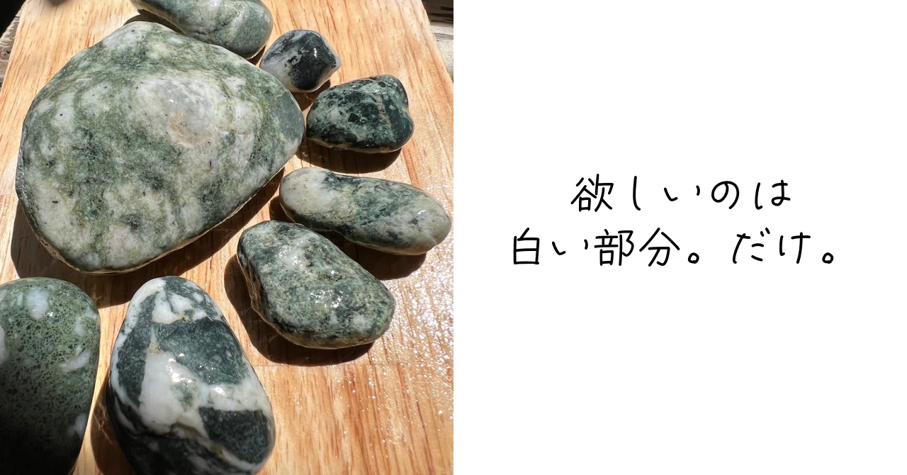 多肉の箱庭のための小石拾い。その深いワケは”振動”。｜Ms