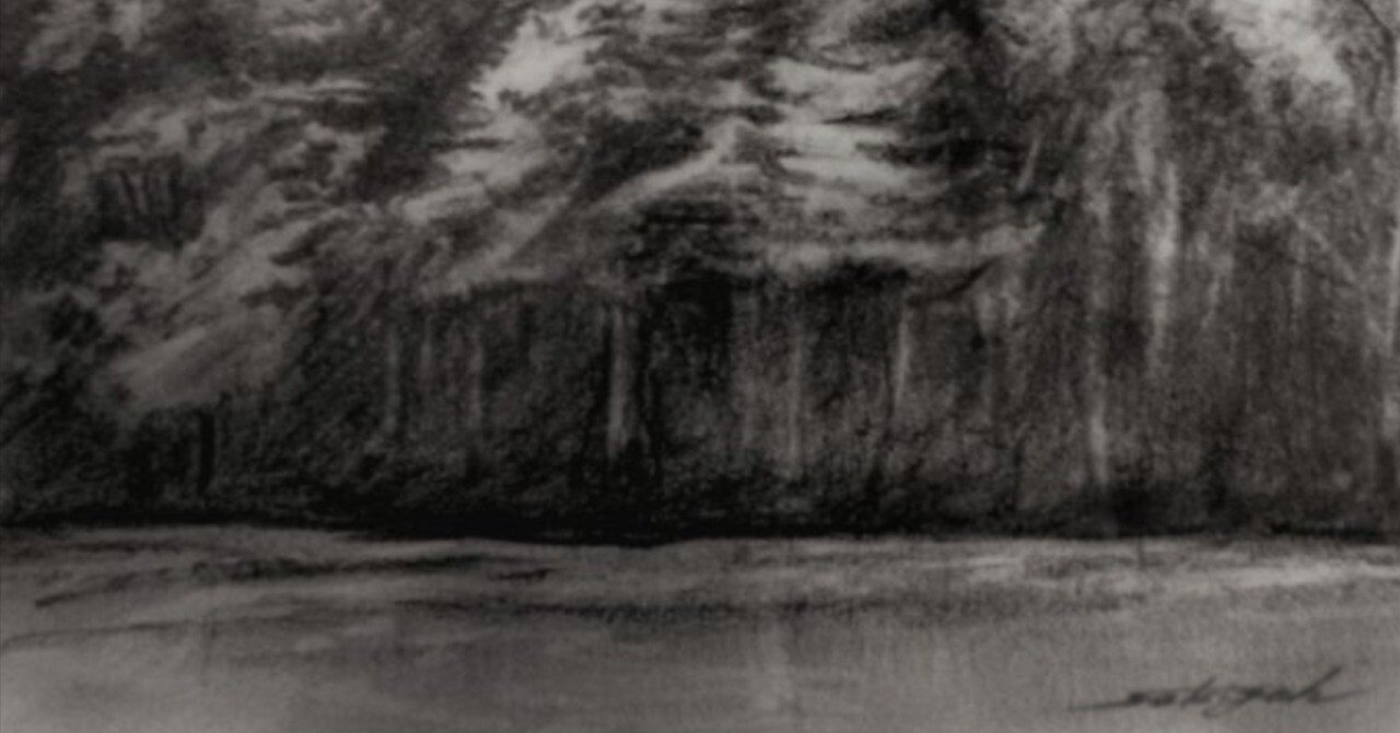 森』鉛筆画｜せきぞう、