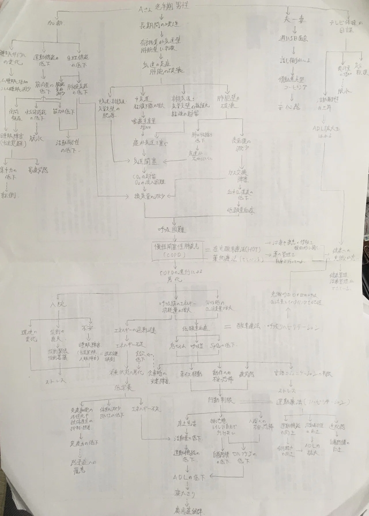 看護過程】関連図の書き方|鳩ぽっぽ 看護過程】関連図の書き方|鳩ぽっぽ