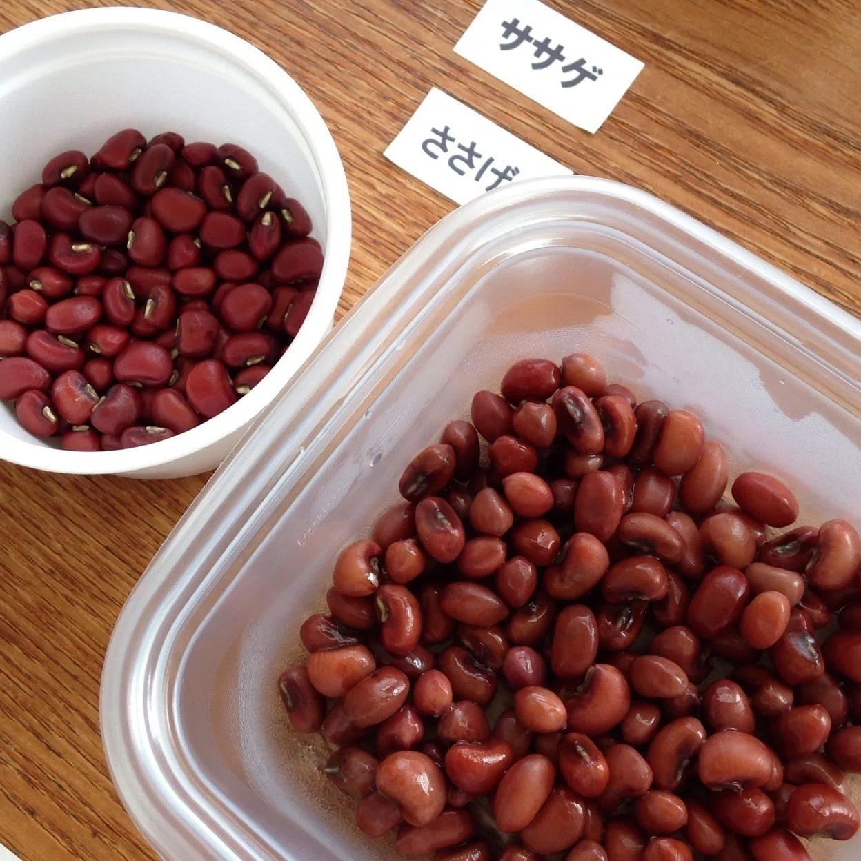 食べる豆ずかん スープラボ サブレポート 有賀 薫 Note