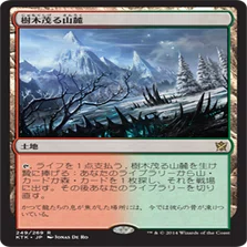 ヴァラクート調整記/A Guide to RG Valakut｜虎咲タイガ