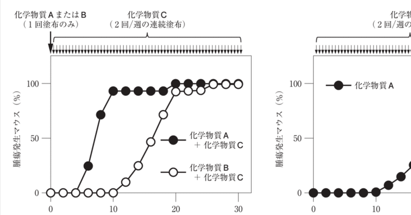 松廼屋｜論点解説　薬剤師国家試験対策ノート問109-136【衛生】論点：がん原性試験 / げっ歯類 2段階発がんモデル（イニシエーション･プロモーションモデル）