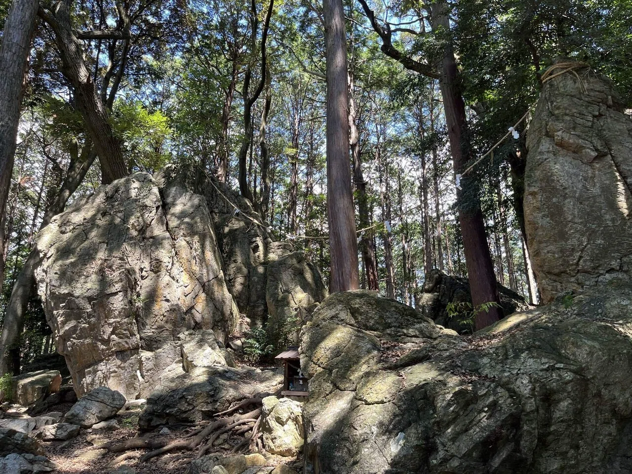 紀行文】大地を貫く巨岩に畏れを抱く 祈りの場所 浜松 天白磐座遺跡