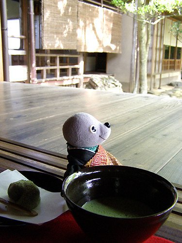 京都へ寺巡りをした時に撮影。ろびと寺を巡るとコミュニケーションが広がります。この時はお寺の奥から作務衣を着た方々に囲まれ大人気。「ろびさんのコーディネートは、クールで京都人からみたらおのぼりさんじゃなくていいかんじ」らしいです（笑）