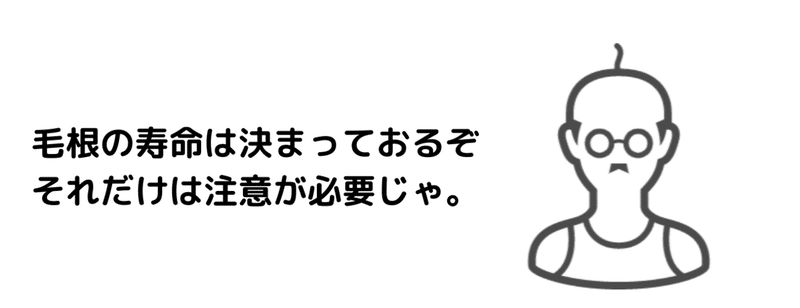 毛根には寿命があるのじゃ