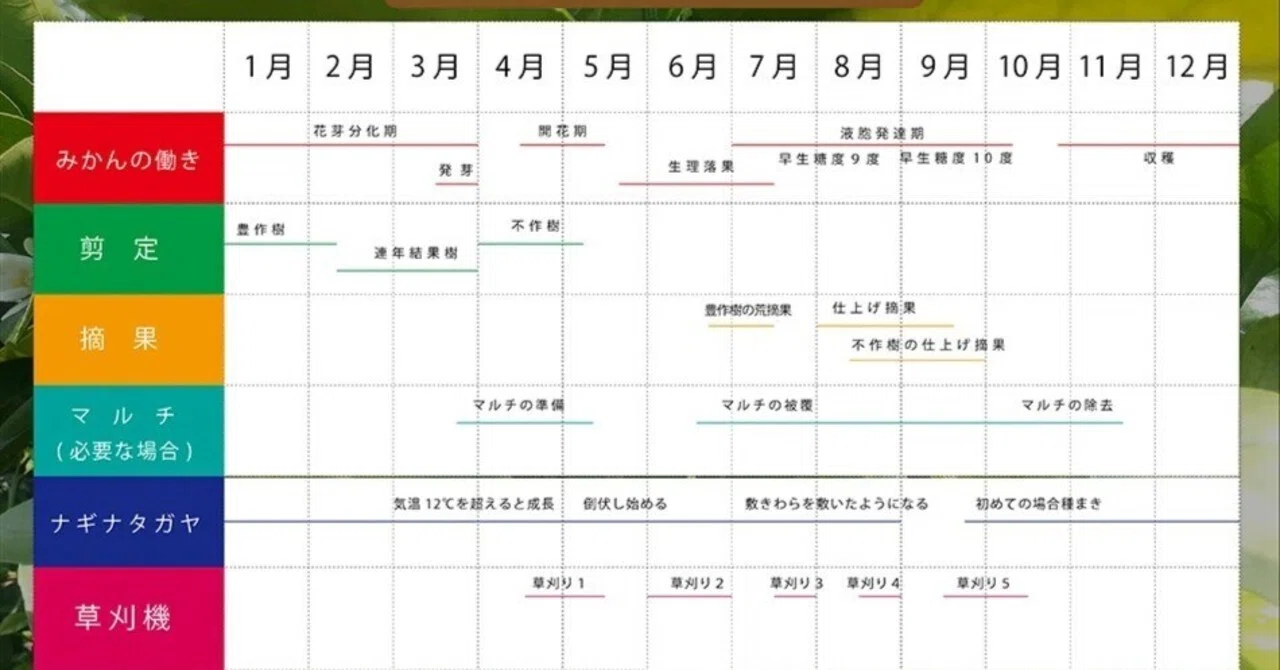 自然栽培】最高糖度16.8%!?美味しいみかんの栽培スケジュール｜ある