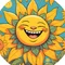 SunSunSunko