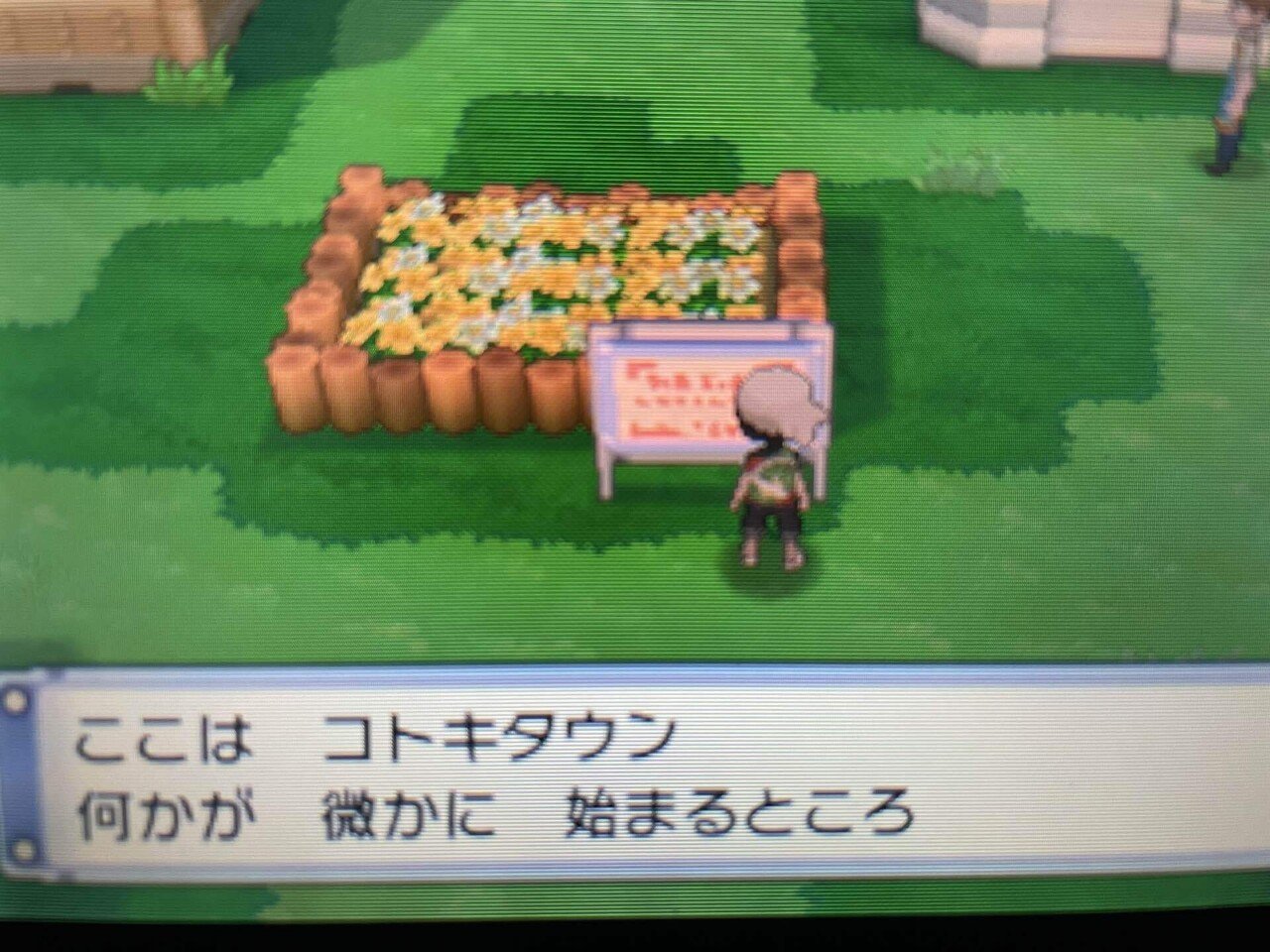 厳選が終わったらまた厳選】ポケモンアルファサファイア色違い縛り冒険